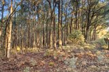 https://images.listonce.com.au/custom/160x/listings/340-trentham-spring-hill-road-spring-hill-vic-3444/106/01567106_img_06.jpg?NVaQzmEgFhU