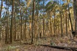 https://images.listonce.com.au/custom/160x/listings/340-trentham-spring-hill-road-spring-hill-vic-3444/106/01567106_img_07.jpg?_SFG1rwyvl4