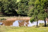 https://images.listonce.com.au/custom/160x/listings/344-mine-road-cottles-bridge-vic-3099/808/01907808_img_22.jpg?pV-brnDJcJo