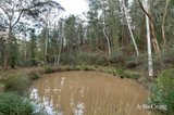 https://images.listonce.com.au/custom/160x/listings/35-bailey-gully-road-hurstbridge-vic-3099/183/01745183_img_18.jpg?rkke6KKwqCM