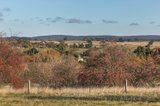 https://images.listonce.com.au/custom/160x/listings/36-42-brodie-street-malmsbury-vic-3446/559/00660559_img_04.jpg?jvYKSjd6R9s