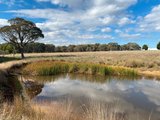 https://images.listonce.com.au/custom/160x/listings/39-billabong-road-haddon-vic-3351/795/01247795_img_07.jpg?RMZJLXf4KaI