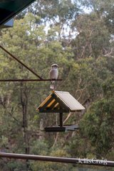 https://images.listonce.com.au/custom/160x/listings/392-old-warrandyte-road-ringwood-north-vic-3134/297/01895297_img_07.jpg?d6Gaxf0l1fc