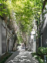 https://images.listonce.com.au/custom/160x/listings/392-wellington-street-collingwood-vic-3066/623/00974623_img_14.jpg?tv8W_BkhcQQ
