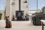 https://images.listonce.com.au/custom/160x/listings/396-sullivans-road-millbrook-vic-3352/669/01706669_img_07.jpg?2sfyL6ysTrM