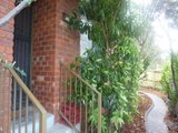 https://images.listonce.com.au/custom/160x/listings/3972-mt-alexander-road-essendon-vic-3040/503/01633503_img_02.jpg?C4g35BrmoiE