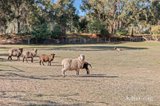 https://images.listonce.com.au/custom/160x/listings/4-roberts-road-welshmans-reef-vic-3462/652/01896652_img_11.jpg?Dg2FLsIE8B8