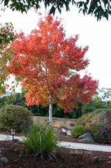 https://images.listonce.com.au/custom/160x/listings/4-rudd-place-plenty-vic-3090/410/01703410_img_23.jpg?1m-6NmNi53k