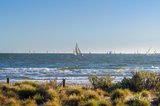 https://images.listonce.com.au/custom/160x/listings/40138-nott-street-port-melbourne-vic-3207/834/01734834_img_27.jpg?HhwNPEPVKTQ