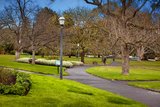 https://images.listonce.com.au/custom/160x/listings/41-weybridge-street-surrey-hills-vic-3127/095/01685095_img_07.jpg?_czWgugTIDA