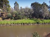 https://images.listonce.com.au/custom/160x/listings/416-myrtle-street-hawthorn-vic-3122/948/01684948_img_05.jpg?B8waKAe4UpU