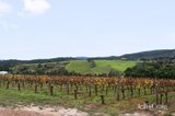 https://images.listonce.com.au/custom/160x/listings/425-buttermans-track-st-andrews-vic-3761/510/01563510_img_21.jpg?NE2OvpleRi4