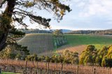 https://images.listonce.com.au/custom/160x/listings/425-buttermans-track-st-andrews-vic-3761/510/01563510_img_26.jpg?QTc4iI_vkqk