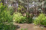 https://images.listonce.com.au/custom/160x/listings/43-forest-road-flowerdale-vic-3717/534/01990534_img_15.jpg?DqCWSsBie0A