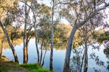 https://images.listonce.com.au/custom/160x/listings/43-the-esplanade-seymour-vic-3660/556/01768556_img_24.jpg?E6HRuc4EFZk