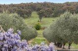 https://images.listonce.com.au/custom/160x/listings/459-lauriston-road-lauriston-vic-3444/021/01822021_img_08.jpg?0gDW7miuNYM
