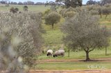 https://images.listonce.com.au/custom/160x/listings/459-lauriston-road-lauriston-vic-3444/021/01822021_img_19.jpg?1FZ3zpRdu_0