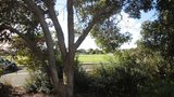 https://images.listonce.com.au/custom/160x/listings/468-fewster-road-hampton-vic-3188/988/01820988_img_01.jpg?tFbWA3VKPpw
