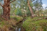 https://images.listonce.com.au/custom/160x/listings/480-healesville-kinglake-road-chum-creek-vic-3777/279/01700279_img_18.jpg?pIr0AgCcz_A