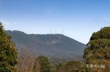 https://images.listonce.com.au/custom/160x/listings/5-ashbrook-place-mooroolbark-vic-3138/142/01981142_img_12.jpg?TF2oD7Gikrg