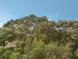 https://images.listonce.com.au/custom/160x/listings/5-gray-street-clifton-hill-vic-3068/856/00930856_img_08.jpg?urIPqvW3C-U