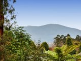 https://images.listonce.com.au/custom/160x/listings/5-the-ridge-kinglake-vic-3763/373/01525373_img_17.jpg?7RC11a8XNGY