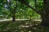 https://images.listonce.com.au/custom/160x/listings/5-walkers-road-lyonville-vic-3461/614/00753614_img_03.jpg?FSsiYN6Mmks