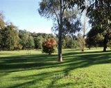 https://images.listonce.com.au/custom/160x/listings/510a-mason-street-hawthorn-vic-3122/837/01906837_img_06.jpg?2dUCaE5SDsg