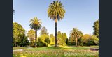 https://images.listonce.com.au/custom/160x/listings/5151-glen-huntly-road-elwood-vic-3184/384/01793384_img_10.jpg?Ez6qCA3T4Ec