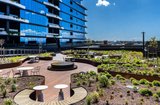 https://images.listonce.com.au/custom/160x/listings/51623-osullivan-road-glen-waverley-vic-3150/797/01951797_img_10.jpg?UseT1zNZYzo