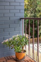 https://images.listonce.com.au/custom/160x/listings/530-victory-street-murrumbeena-vic-3163/358/01074358_img_13.jpg?2wTe-L3Uu5o