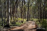 https://images.listonce.com.au/custom/160x/listings/536-muckleford-castlemaine-road-muckleford-vic-3451/679/01860679_img_05.jpg?j5U1YTZCVq0
