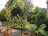 https://images.listonce.com.au/custom/160x/listings/54-banbury-street-burwood-east-vic-3151/727/01828727_img_12.jpg?-3RgSdNe4Ic
