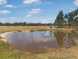 https://images.listonce.com.au/custom/160x/listings/549-fogartys-gap-road-walmer-vic-3463/184/00736184_img_04.jpg?Oh126ywHxQI