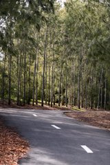 https://images.listonce.com.au/custom/160x/listings/55-christmas-street-northcote-vic-3070/600/01906600_img_13.jpg?rS93uNg_XbU