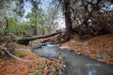 https://images.listonce.com.au/custom/160x/listings/550-healesville-kinglake-road-chum-creek-vic-3777/585/01727585_img_16.jpg?YPNH7T2lS7I