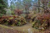 https://images.listonce.com.au/custom/160x/listings/550-healesville-kinglake-road-chum-creek-vic-3777/585/01727585_img_17.jpg?NQ2obx-rcI8
