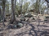 https://images.listonce.com.au/custom/160x/listings/592-muckleford-yapeen-road-yapeen-vic-3451/343/00616343_img_04.jpg?3EV4a_pgPNQ