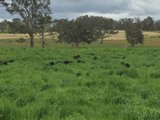 https://images.listonce.com.au/custom/160x/listings/6-coliban-park-road-metcalfe-vic-3448/188/00641188_img_15.jpg?IbUNbb8HHrA