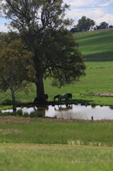 https://images.listonce.com.au/custom/160x/listings/6-coliban-park-road-metcalfe-vic-3448/188/00641188_img_19.jpg?Tl-_MSr8mkg