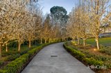 https://images.listonce.com.au/custom/160x/listings/6-eleanor-court-donvale-vic-3111/995/01979995_img_25.jpg?YTAoavxe4oE