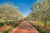 https://images.listonce.com.au/custom/160x/listings/6-jeanette-maree-court-kilsyth-vic-3137/105/01939105_img_12.jpg?TuuOcBciXWQ