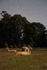 https://images.listonce.com.au/custom/160x/listings/6-manna-lane-trentham-vic-3458/309/01898309_img_04.jpg?LlKNnetzeLA