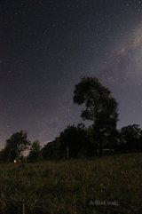 https://images.listonce.com.au/custom/160x/listings/6-manna-lane-trentham-vic-3458/976/00804976_img_05.jpg?ZJXmeb95LuQ