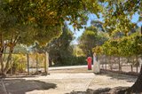 https://images.listonce.com.au/custom/160x/listings/60-castlemaine-street-fryerstown-vic-3451/228/01718228_img_10.jpg?UmsapT6exMY