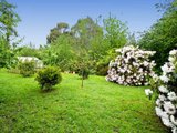 https://images.listonce.com.au/custom/160x/listings/60-ellison-street-kinglake-vic-3763/395/01525395_img_20.jpg?7pskw6C4_jQ