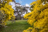 https://images.listonce.com.au/custom/160x/listings/60-franklin-street-maldon-vic-3463/771/01102771_img_06.jpg?NKTCJPkjzAU