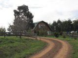 https://images.listonce.com.au/custom/160x/listings/60-killingworth-road-yea-vic-3717/275/01525275_img_14.jpg?T7oW12HW2x8