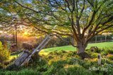 https://images.listonce.com.au/custom/160x/listings/61-garnook-grove-badger-creek-vic-3777/624/01985624_img_31.jpg?S4tOO7NzCJk