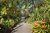 https://images.listonce.com.au/custom/160x/listings/616-nicholson-street-fitzroy-north-vic-3068/670/01980670_img_14.jpg?9tGS5SpYaGc